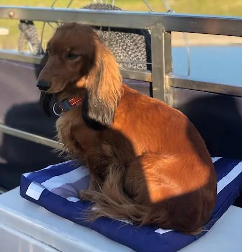 컨트리하우스 Tuomiranta