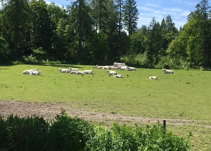 컨트리하우스 Tuomiranta *